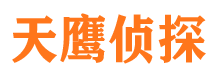 和布克赛尔市私家侦探